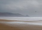 Newgale Beach - Marcus Offinger (Beginners).jpg